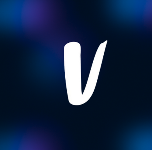 all vinted clothing supplier bundle