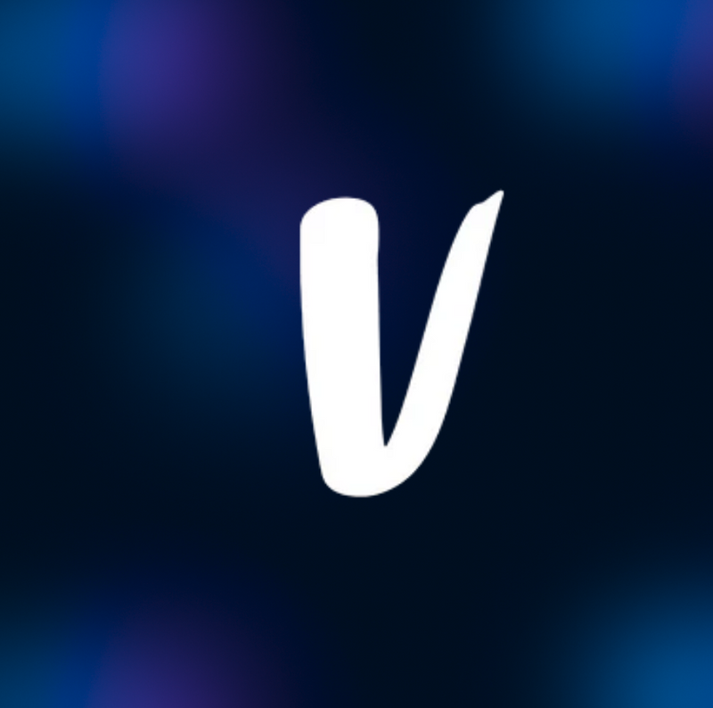 All vinted clothing bundle
